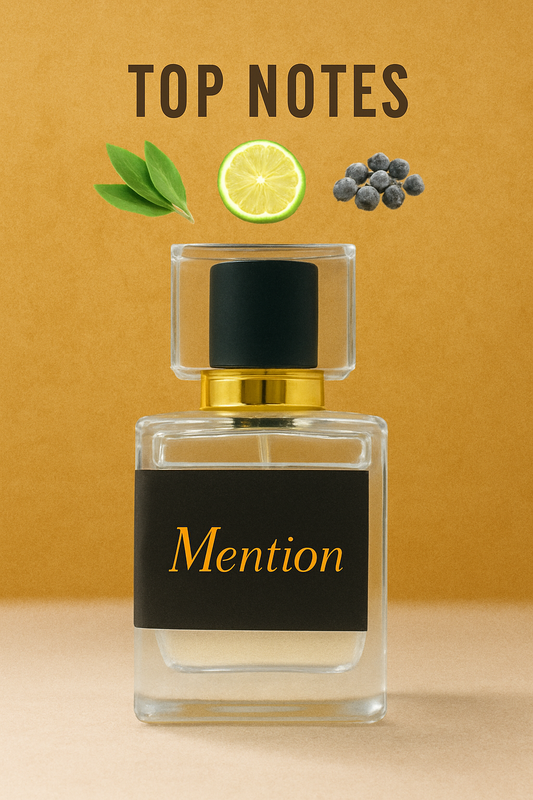 MENTION ( Inspired By YSL Y )